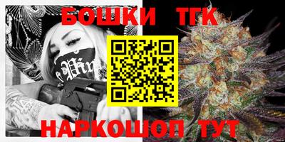 гашик Тара