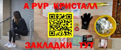 гашик Тара